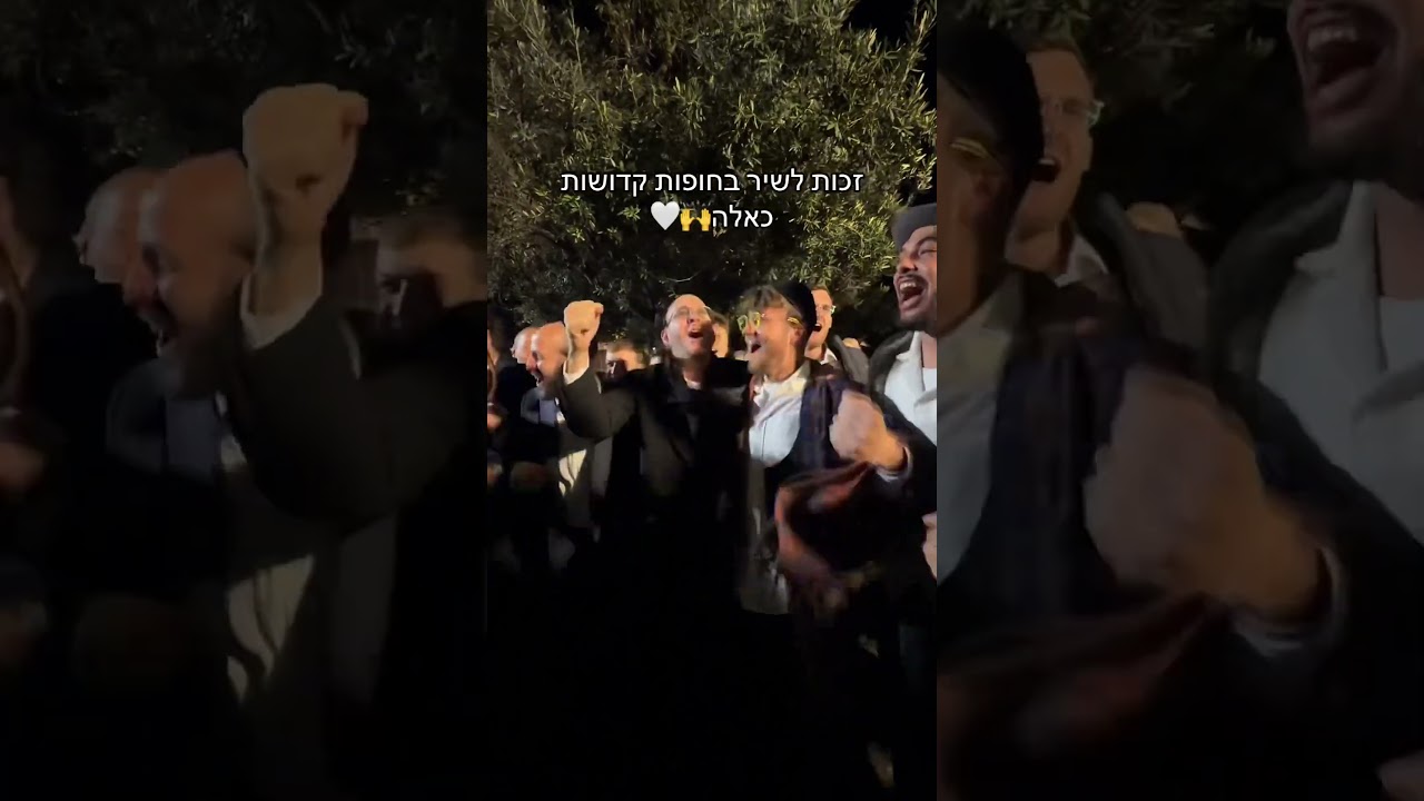 אם אני כאן הכל כאן בחופה קדושה מול חומות ירושלים🙌 #foryou #music #guitar #פוריו #חופה