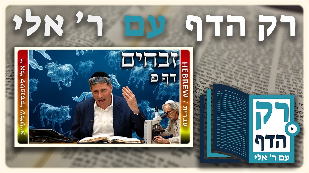 חזרה - זבחים דף פ | "רק הדף" עם ר' אלי סטפנסקי