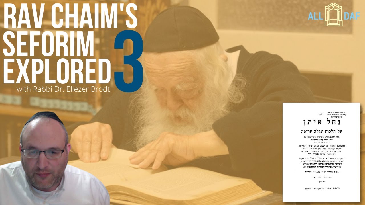Rav Chaim's Seforim Explored (Part 3)