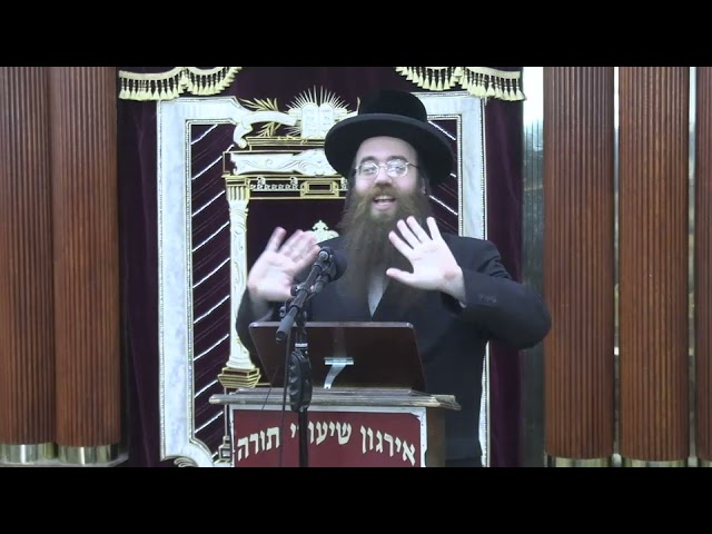 עלעקטריק בשבת -  ר' צבי זאב בערגער שליט"א