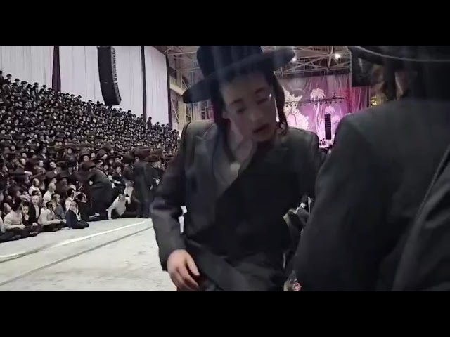 סאטמאר ווליאמסבורג #סאטמאר