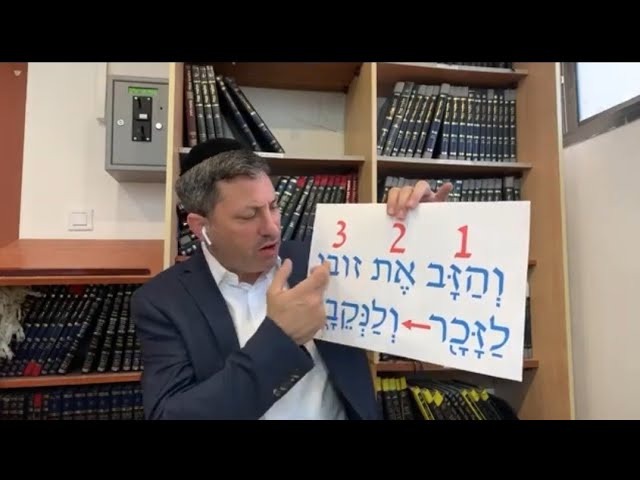 Daf Yomi Niddah Daf 35 by R' Eli Stefansky