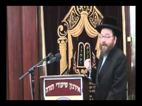 בענין טבילת כלים - הדיין מפאפא