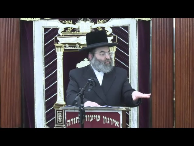 שמיטת כספים ופרוזבול - ר' שמשון ציננער שליט"א