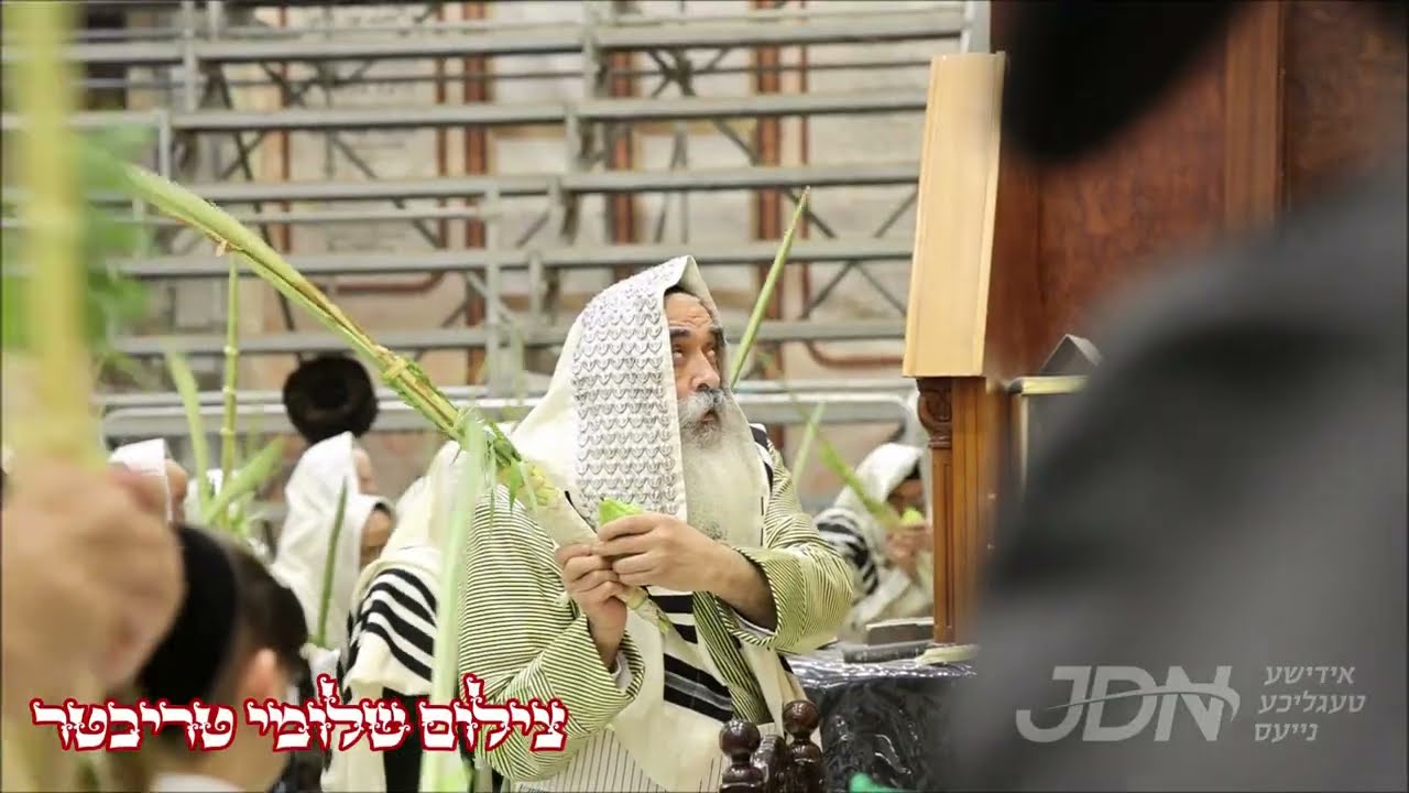 האדמו"ר מדושינסקיא ביי נענועים