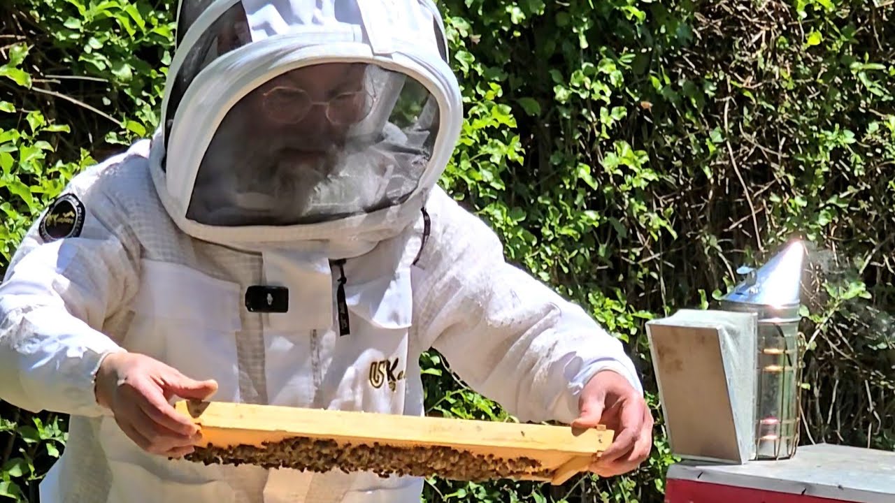How Raw Honey Helped Many Allergy Sufferers Say Goodbye to Their Pain | Ari Fefekorn,Donne Bee Honey