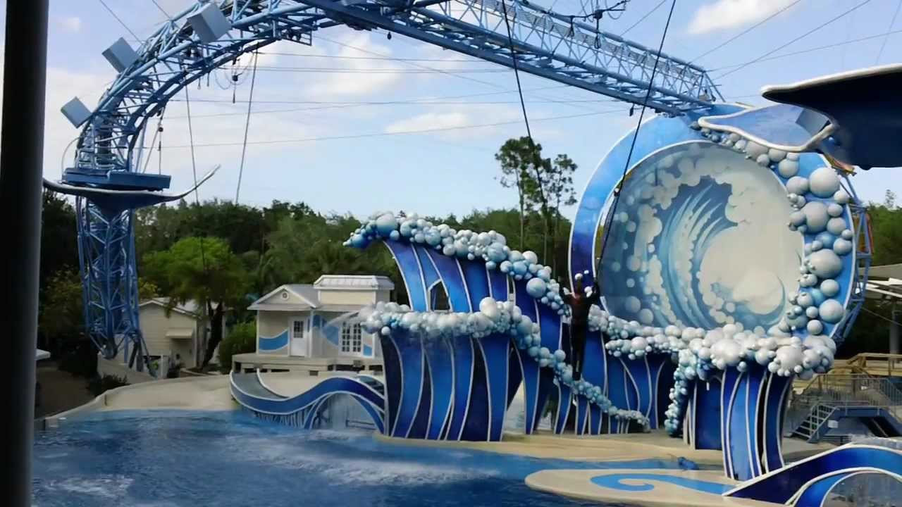 Blue Horizon - dolphin show at sea world Orlando Florida   P2 of 2