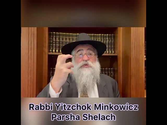 Rabbi Minkowicz Weekly Torah Lesson Parsha Shelach 5781