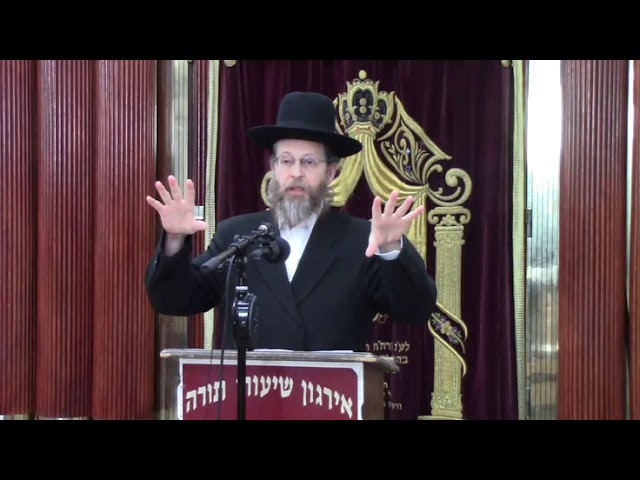 הלכות כיבוד אב ואם - ר' אליעזר בוים שליט"א