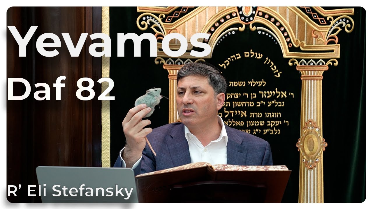 Daf Yomi Yevamos Daf 82 by R’ Eli Stefansky