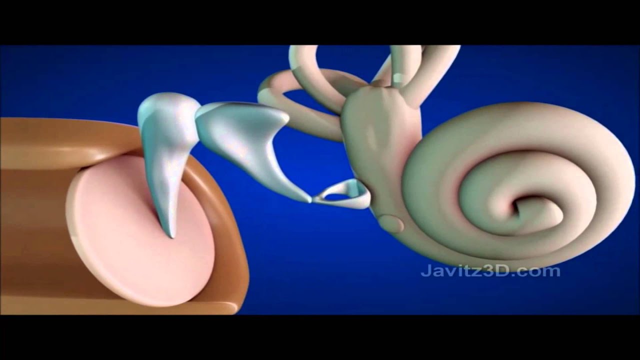 Your Amazing Ear - A Ma Gadlu Project