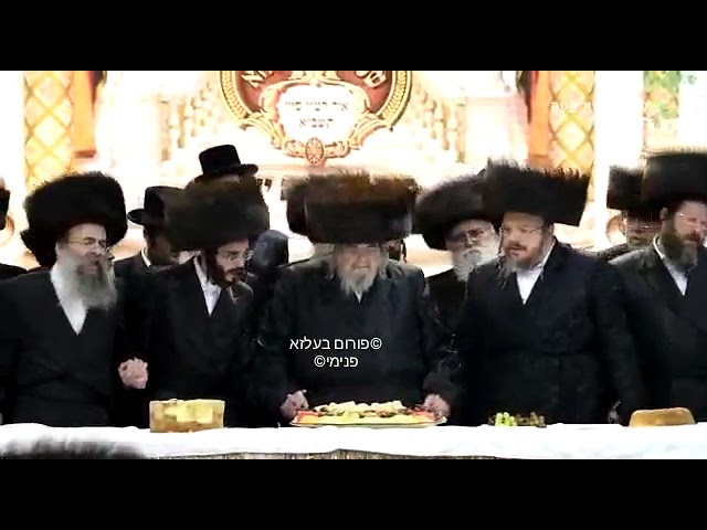 Dancing At Sheva Brochos In Belz - Sivan 5781