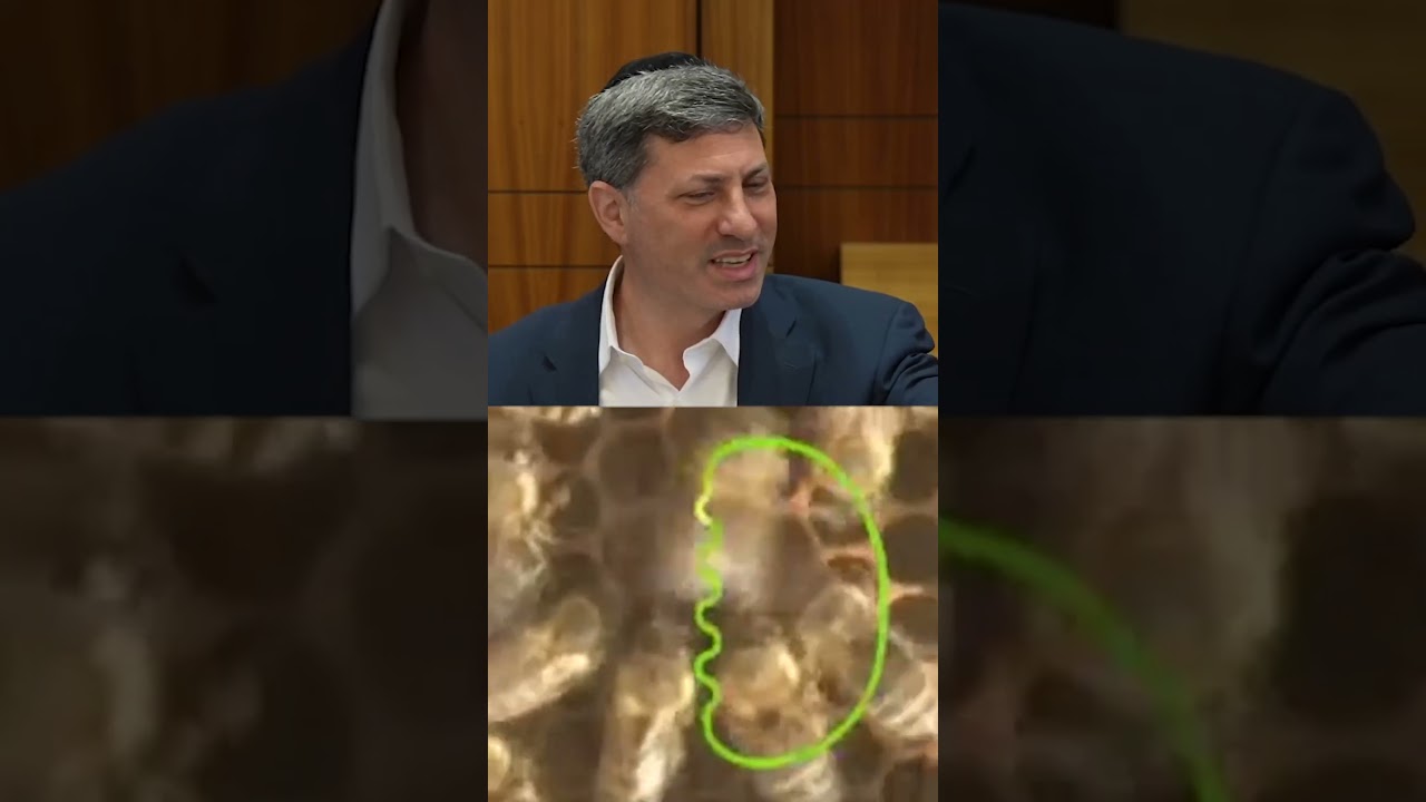 Learning from the bees