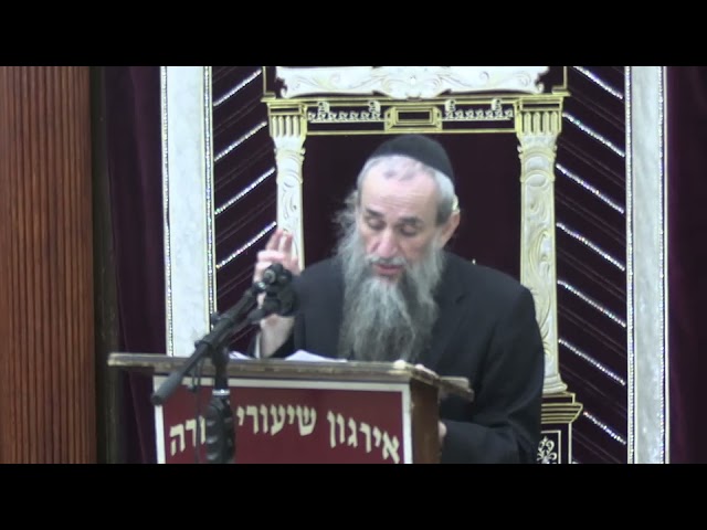 Summary:  Payment For Damage. When And How Much? - Rabbi Yakov Zev Smith