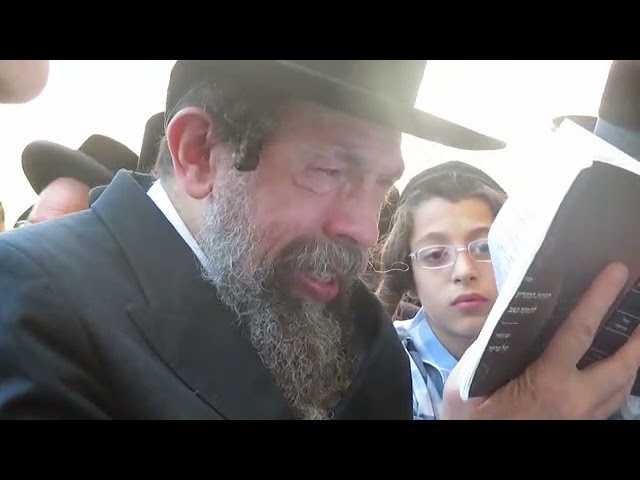 כ"ק אדמו"ר מתולדות יהודה שליט"א באמירת קינות