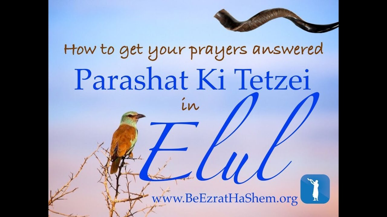 Parashat Ki Teitzei: How to Get Your Prayer Answered During Elul & Judgement Day