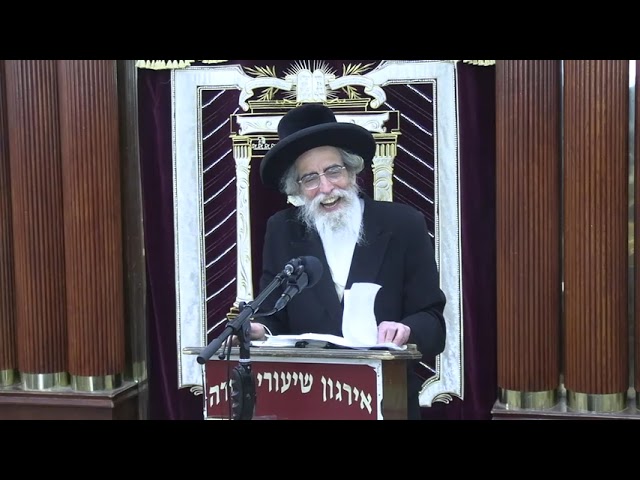 שאלות שונות בהלכות מוקצה - ר' לייבל וויליגער שליט"א