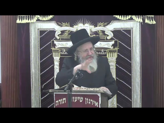 שבת זייגער בהלכה - ר' אהרן זילבערשטיין שליט"א