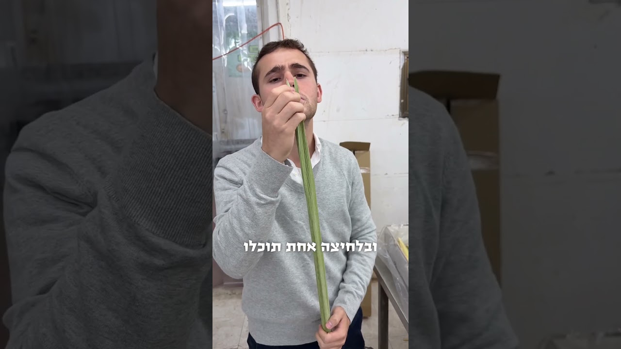 להזמנת 4 מינים עד הבית, שלחו ווטסאפ למספר 0584151310