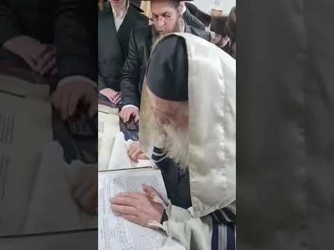כ"ק גאב"ד מאקאווא שליט"א בקריאת המגילה