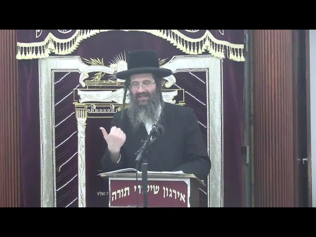 דיני ברכת התורה -  ר׳ אהרן שמואל פדווא שליט"א