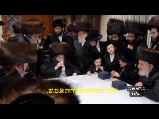 Engagement Of Belzer Rebbe's Granddaughter - Kislev 5785