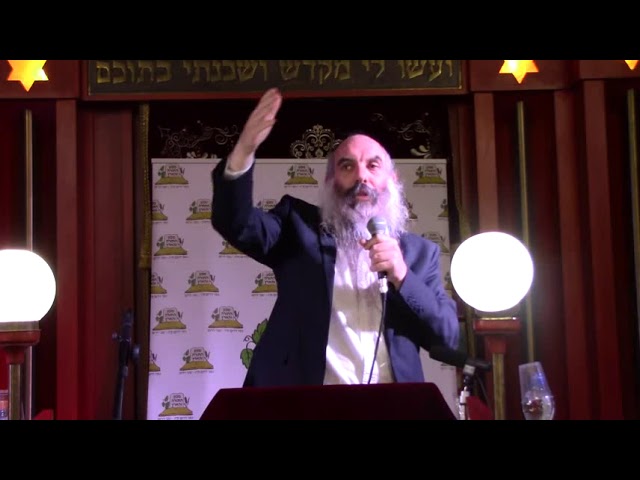 הנהגות ופסיקות מתורת רבנו הרב יעקב אריאל - הרב יהושע שפירא