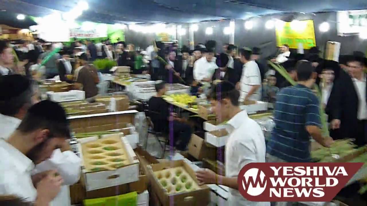 Arba Minim Shuk on Erev Sukkos 5770