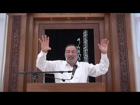 אבדת עכו"ם- מה דינה? | שיעור כללי- בבא מציעא ב. | הרב בן ציון אלגאזי