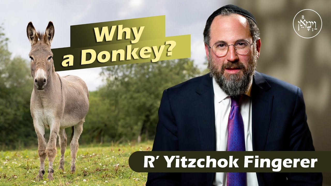 Why a Donkey | Rabbi Yitzchok Fingerer
