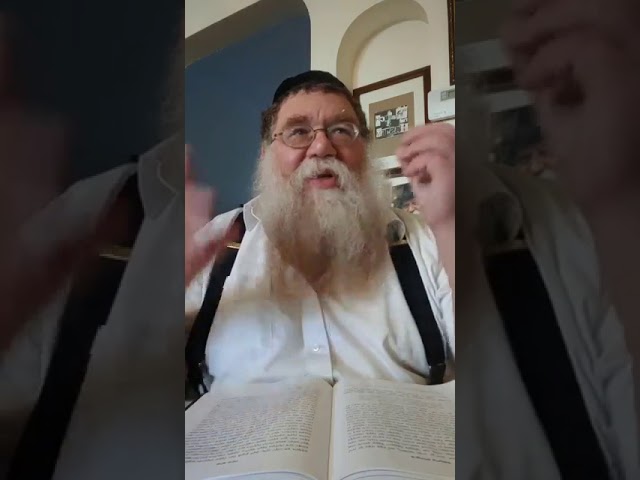 Practical Chasidus w Rabbi Chaim Dalfin - Maamar Coviv 1940 #7