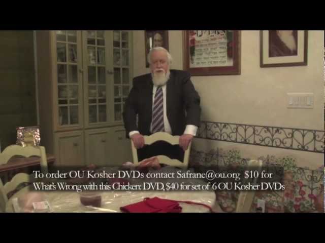 What's wrong with this chicken? - Closing and Credits (8 of 8)