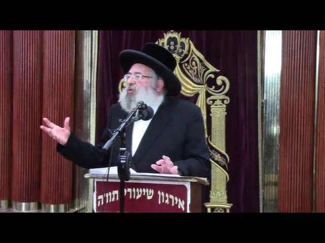 הלכות פסח Gluten Free Matzah מצה חולה שאין בו סכנה ועוד - הרב גבריאל צינר
