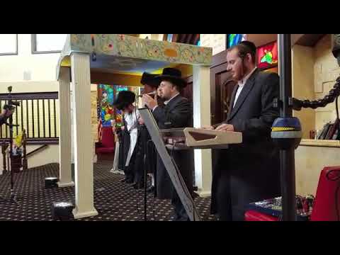 Lipa Schmeltzer beautiful chuppah with motty Miller
