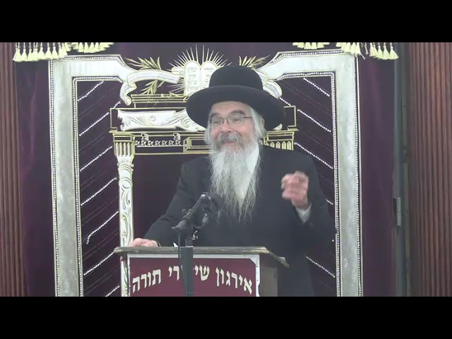 שיעור כללי בהלכות חנוכה - ר' אברהם חיים שטיינווארצעל שליט"א