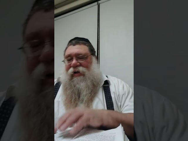 Practical Chasidus w Rabbi Dalfin - Maamar V'Im Ruach HaMoishel 1924 #8 - Engaging the Problem
