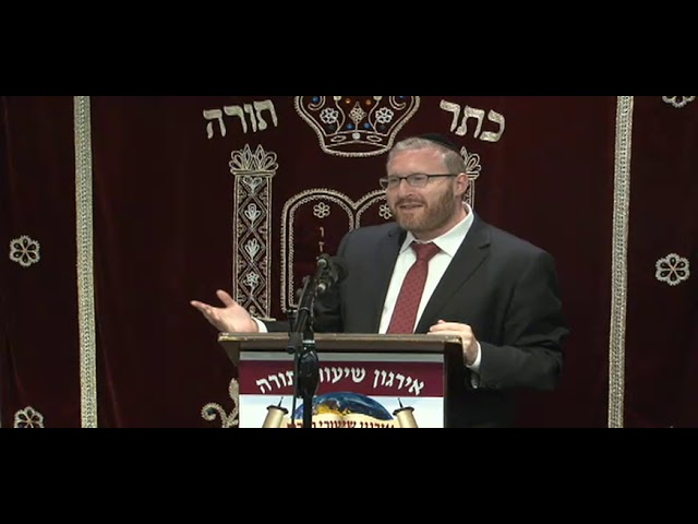 Rabbi Nachman Seltzer" First Theme Party - Ever