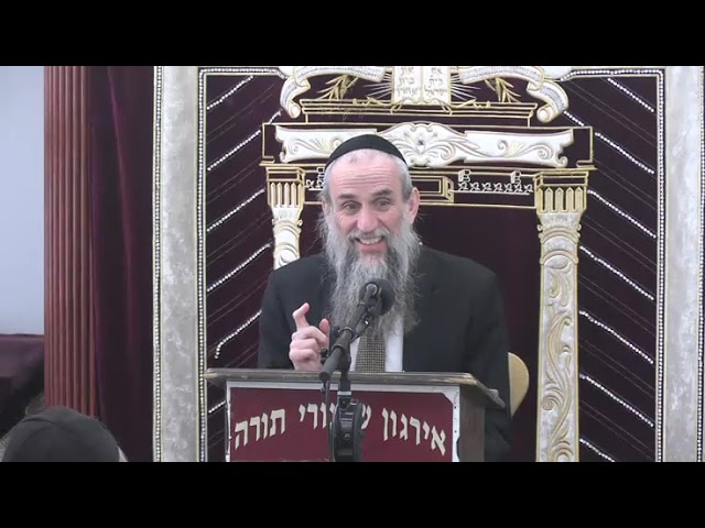 Insects Found In Food. Now What? -  Rabbi Zev Smith