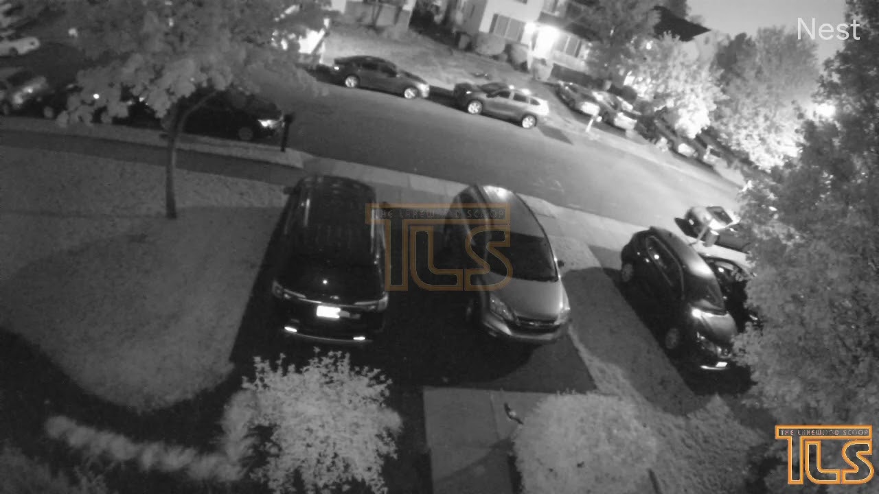 Gunshots? Lakewood