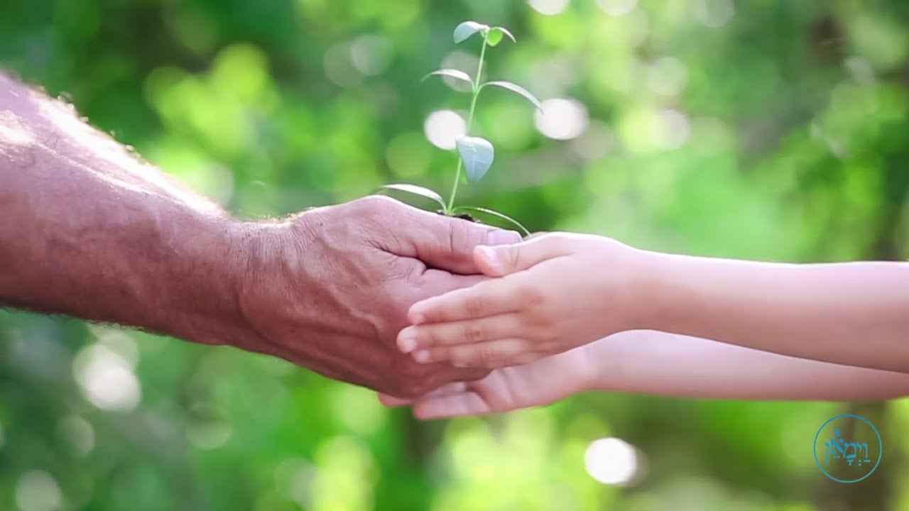 The Power of Sight | Rabbi Naftali Horowitz
