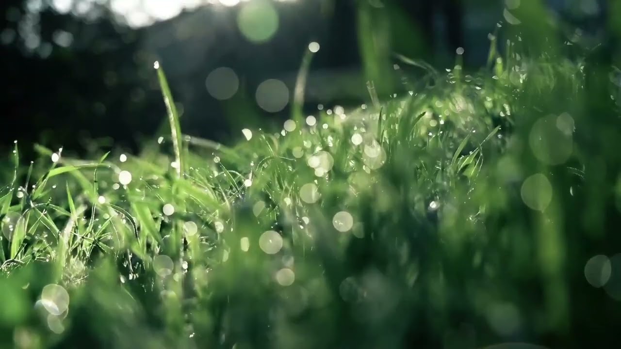 Mordy Weinstein - Mi Bon | מורדי ויינשטיין – מי בון [Visualizer]