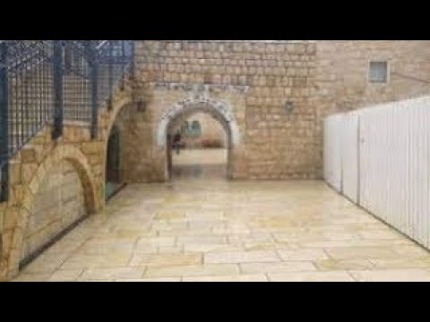 שידור חי מאתרא קדישא מירון  בהילולת רבי שמעון בר יוחאי תשפ"ג 2023