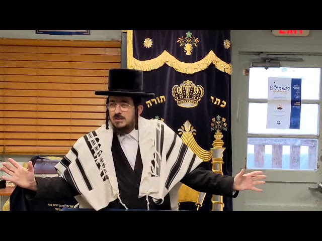 לא הפסדת - Daily Yiddish Shiur at Scheiner's by Rav Benzion Sneh 8 Elul