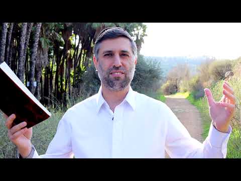 Bitachon 88 - Let it be Hashem's Way
