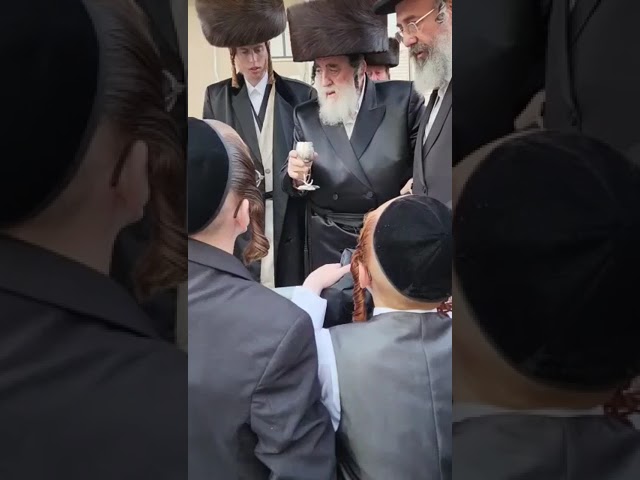 Viznitz Rebbe Saying Sheva Brochos Under A Chupa  - Elul 5782