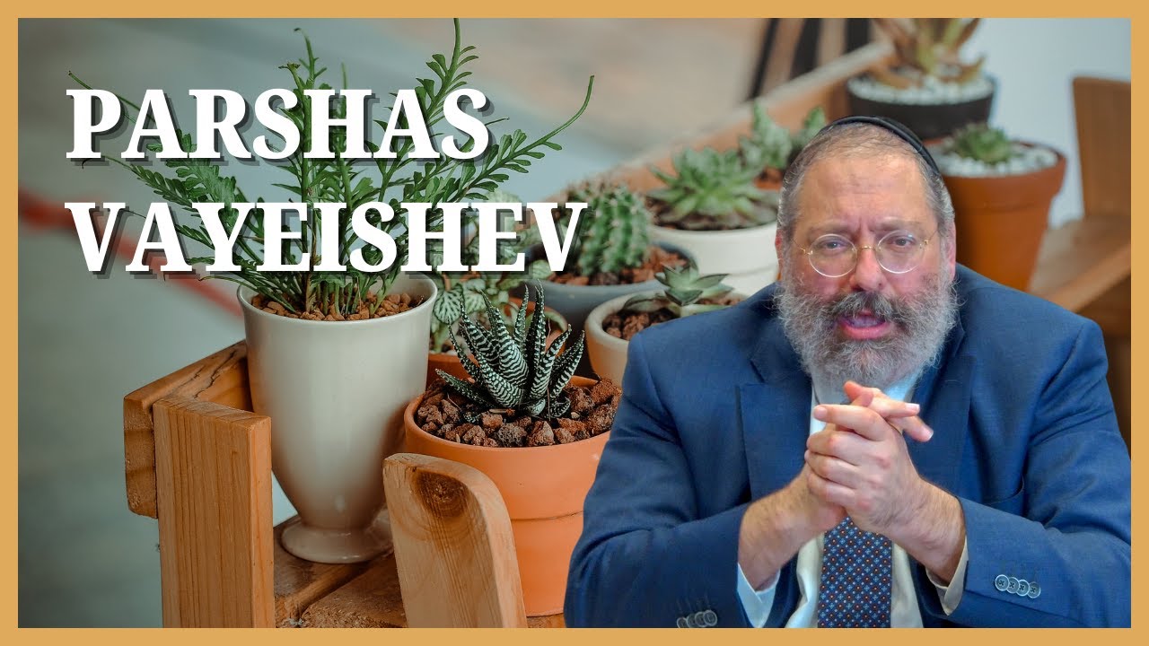 Parshas Vayeishev: When Your Family is Getting Destroyed, What Do You Hold on To?