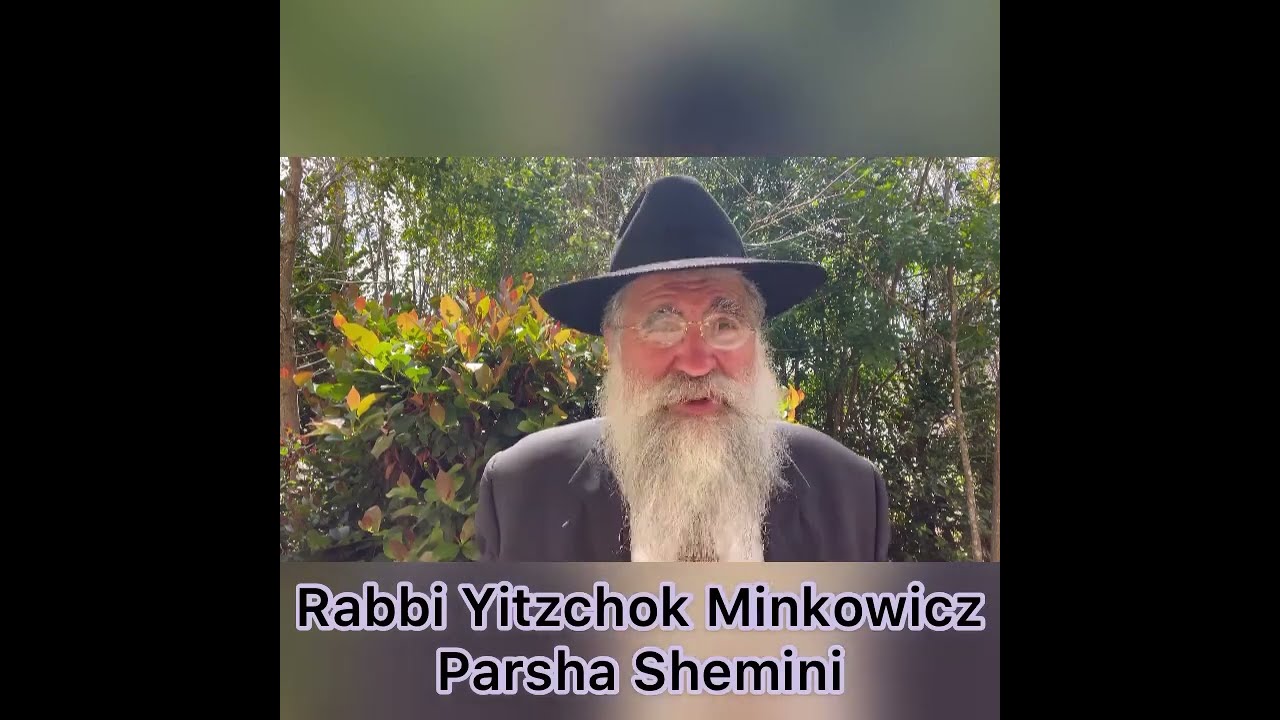 Rabbi Minkowicz Weekly Torah Lesson Parsha Shemini