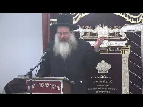 ראש השנה שחל להיות בשבת - ר' בנימין ברייער שליט"א