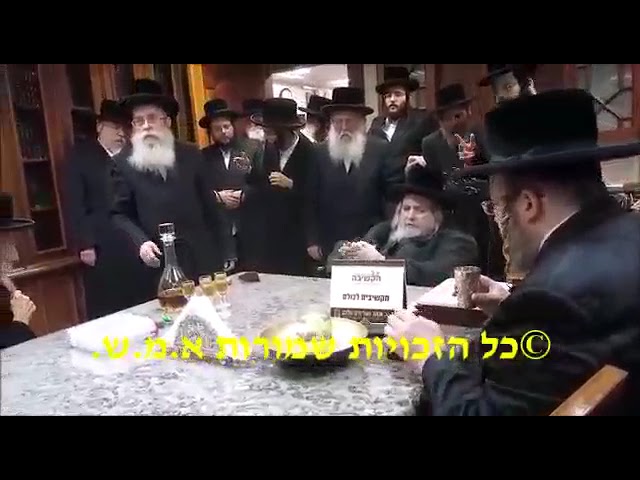 שמחת החאלקא פון נין כ"ק אדמו"ר מבעלזא שליט"א