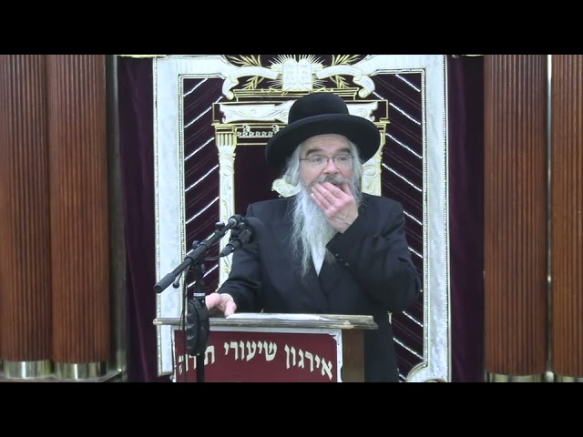 שיעור כללי בהלכות נחוצות לקיץ -  ר' אברהם חיים שטיינווארצעל שליט"א